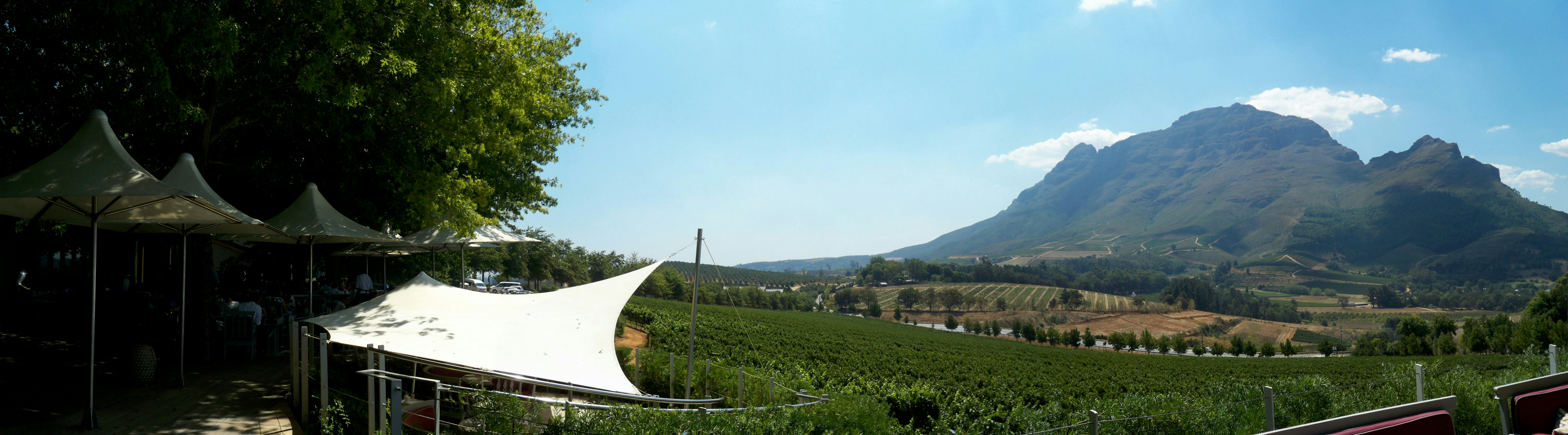 Outdoor lunch overlooking Napa Valley vineyards.