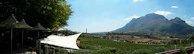 A panoramic view of the two vineyards stretching across sun-kissed hills