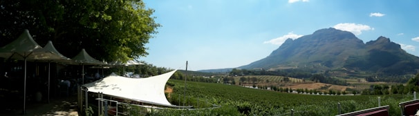 People enjoying a sunny day outdoors among vineyards and mountain views.