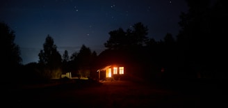 brown wooden house near trees during night time