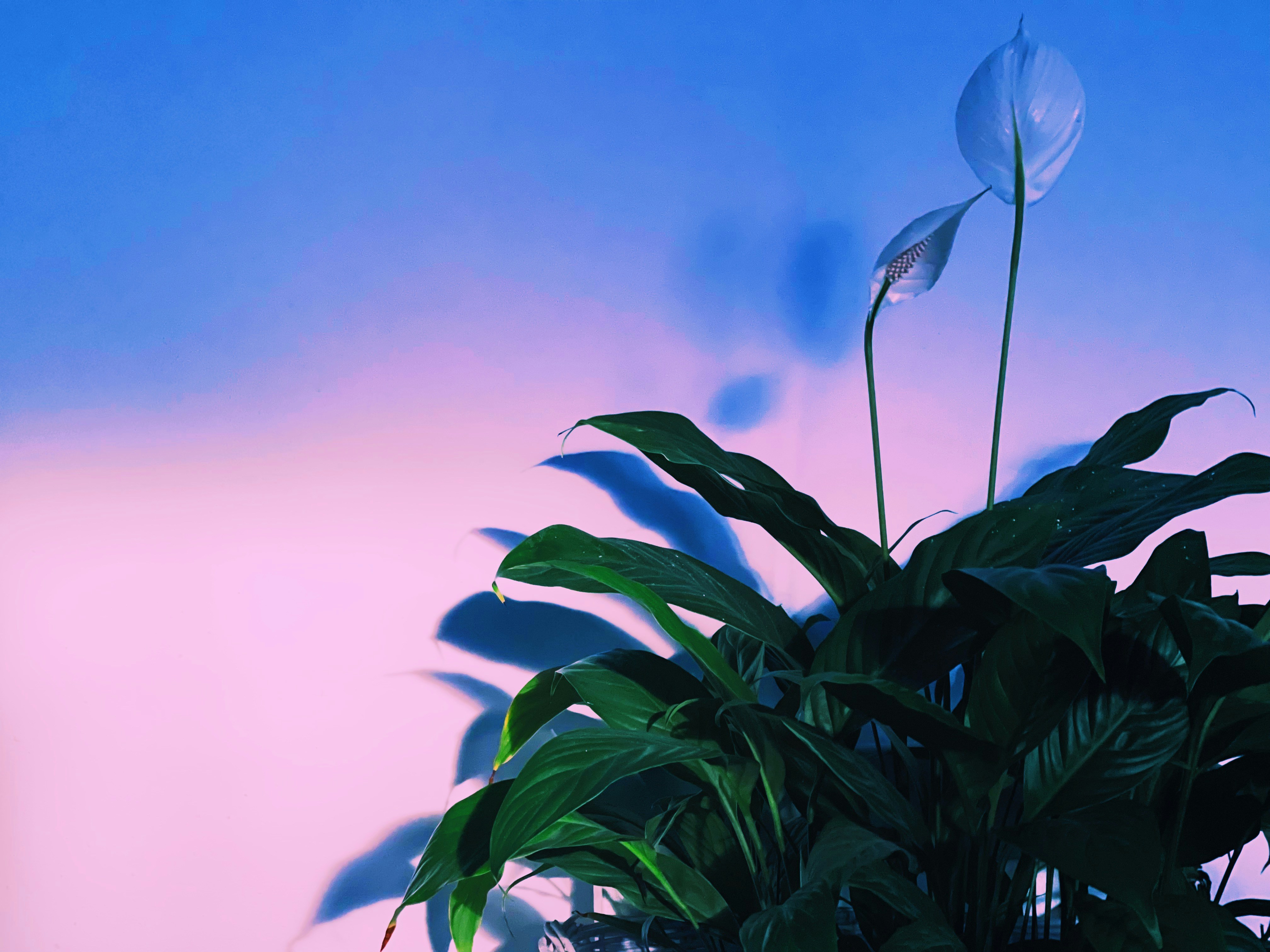 Photo by _jeremiah85_