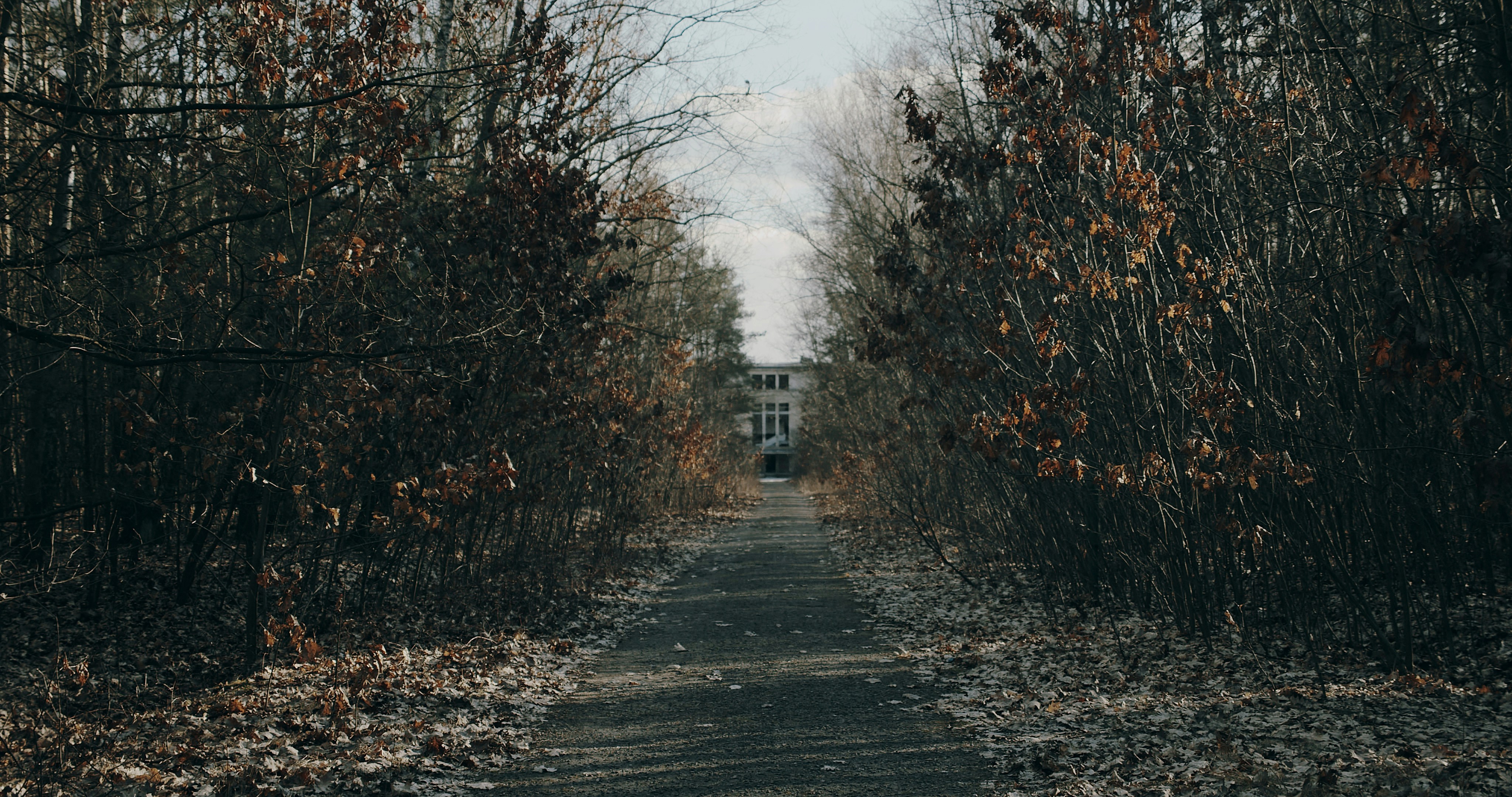 Photo by redemprez