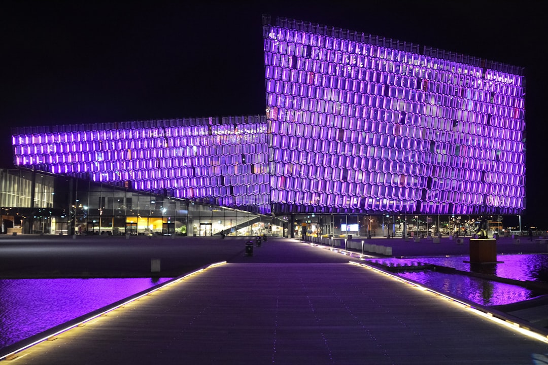 purple and black stadium during night time