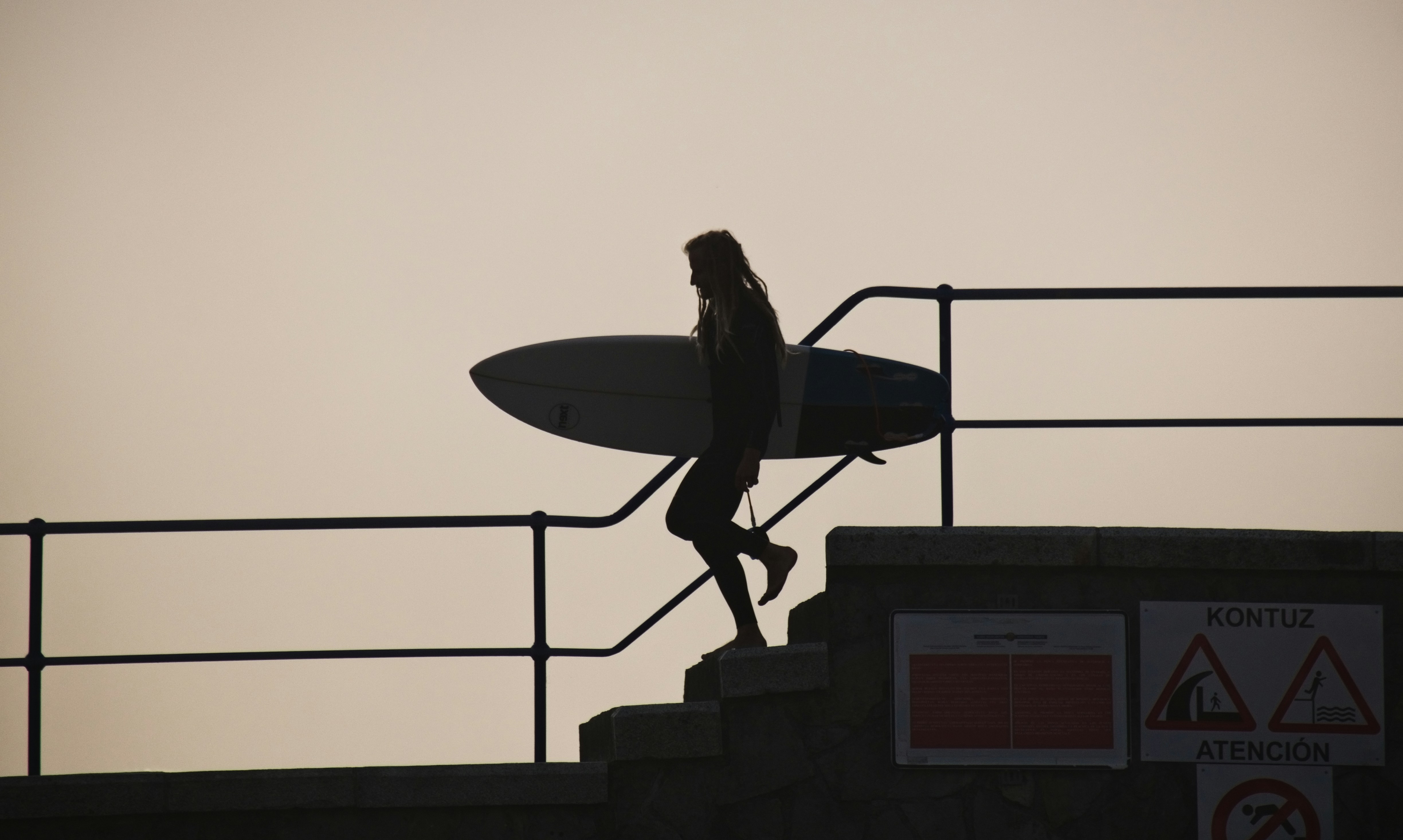 Black and gray bird statue