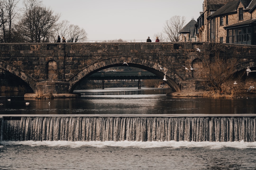 brown concrete bridge over river during daytime