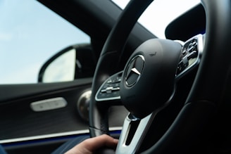 person holding black and gray car steering wheel