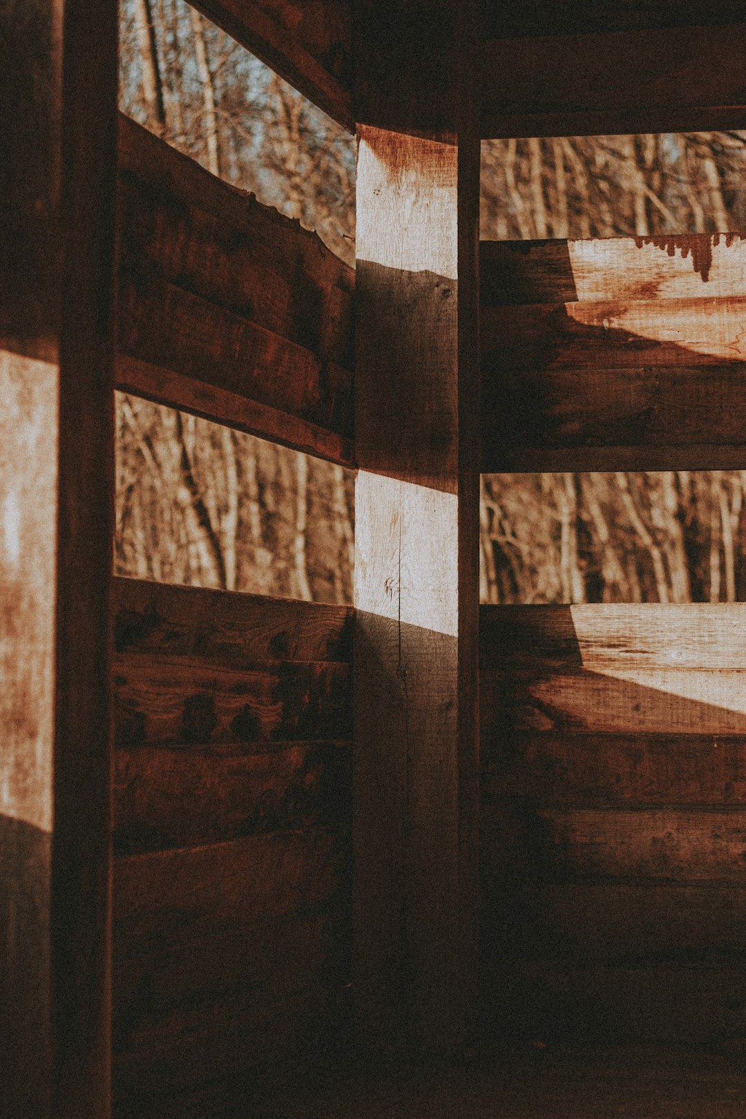 brown wooden fence during daytime