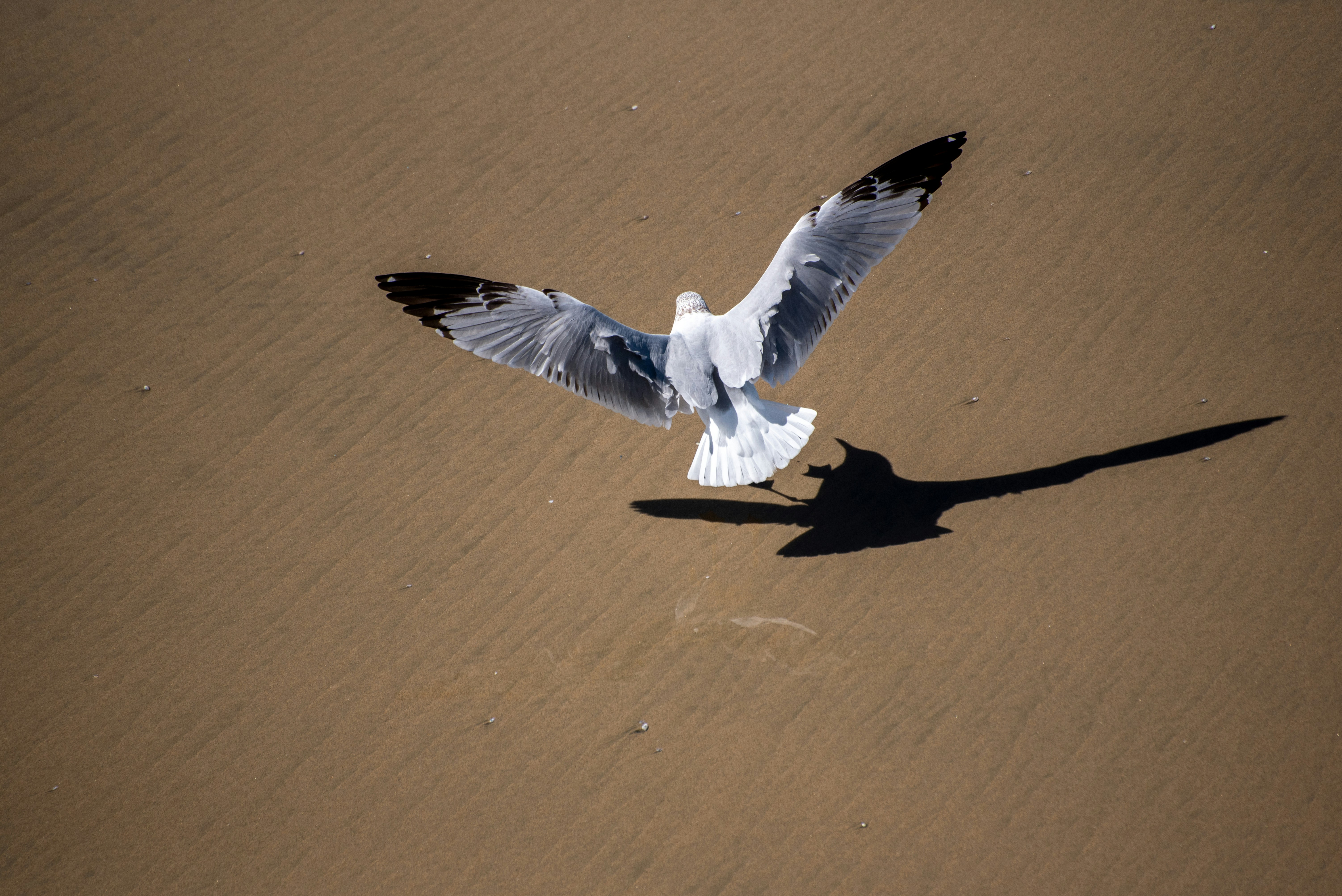 Photo by tracminhvu