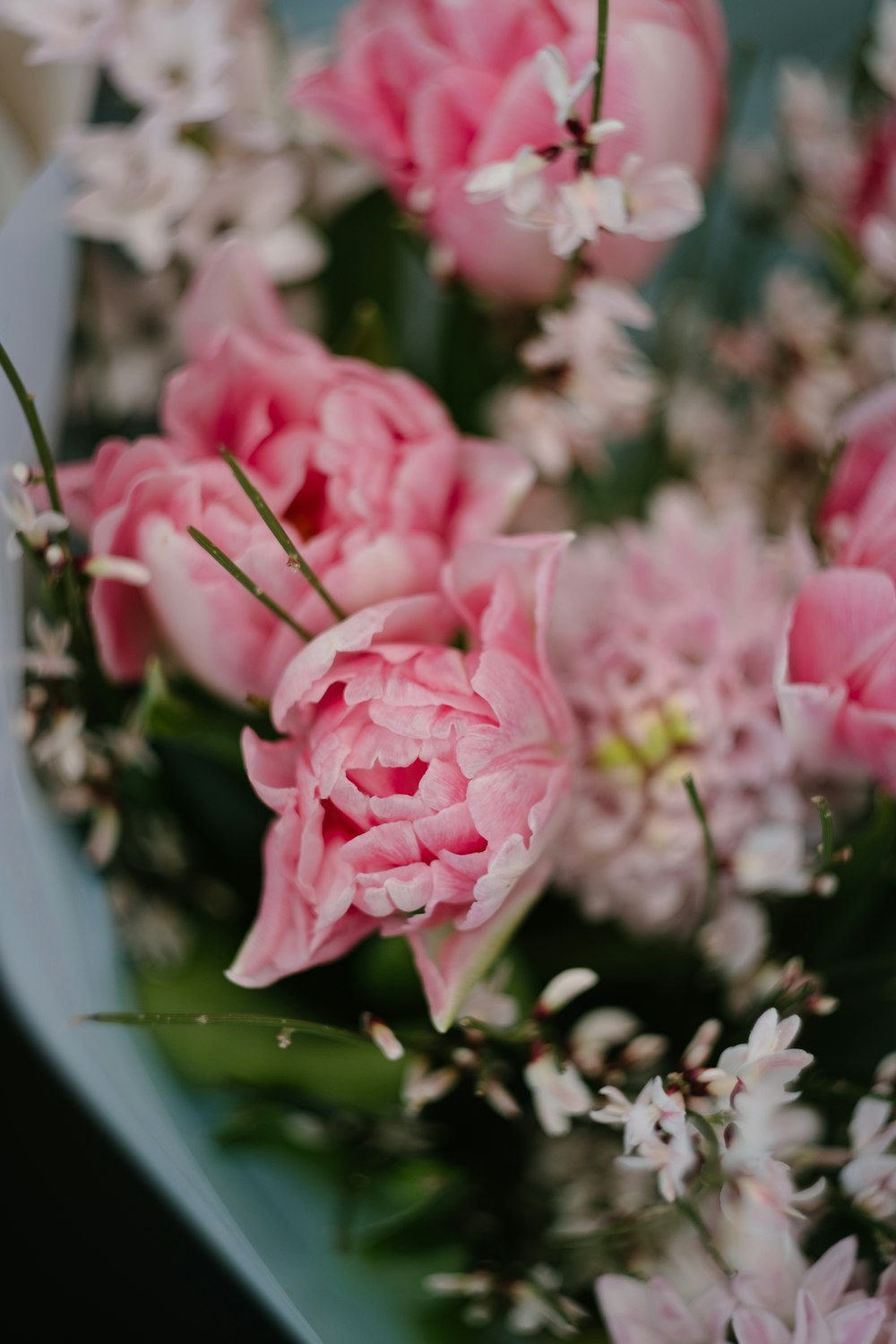 flores cor-de-rosa e brancas na água