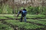 man in blue denim jeans walking on green grass field during daytime