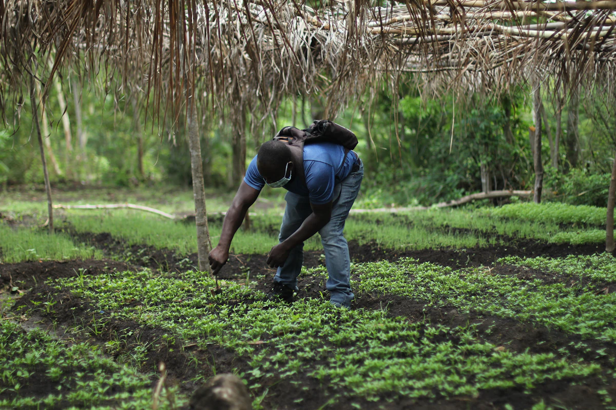 Farmers walking across an open field, representing a visit to a working farm in Ghana