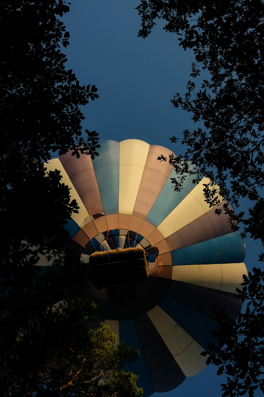 hot air balloons in the sky during night time