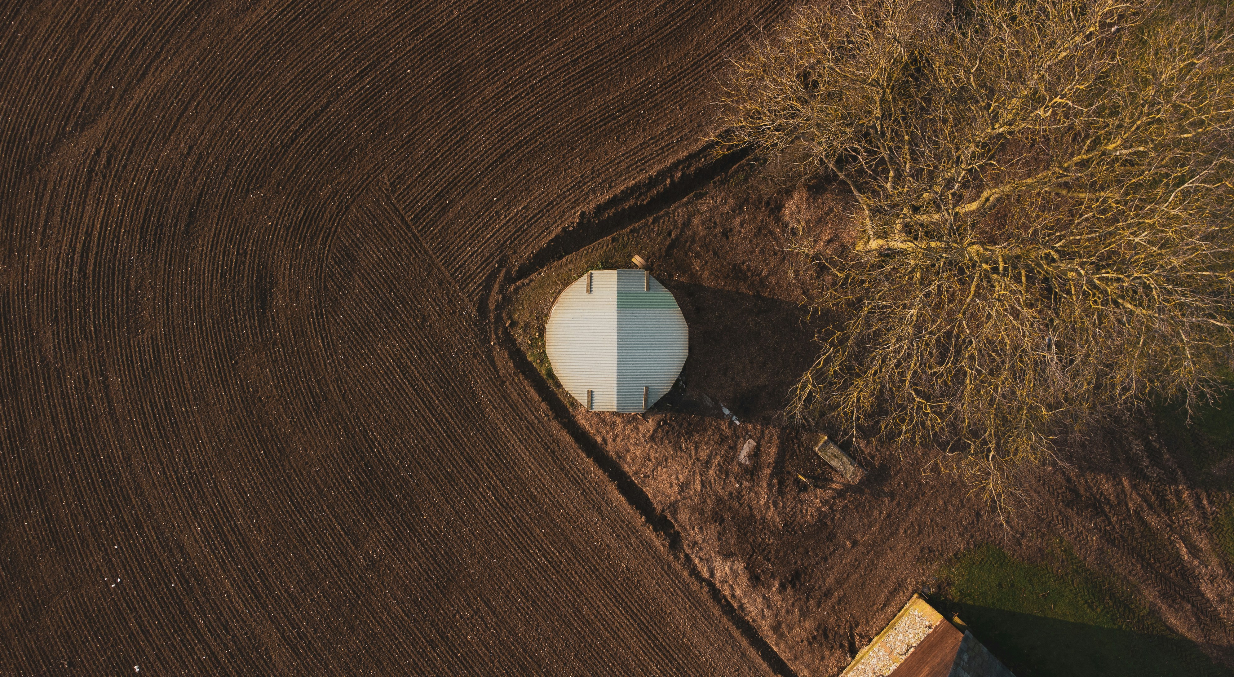 photo-1615138572643-bb0b8e8aecdb