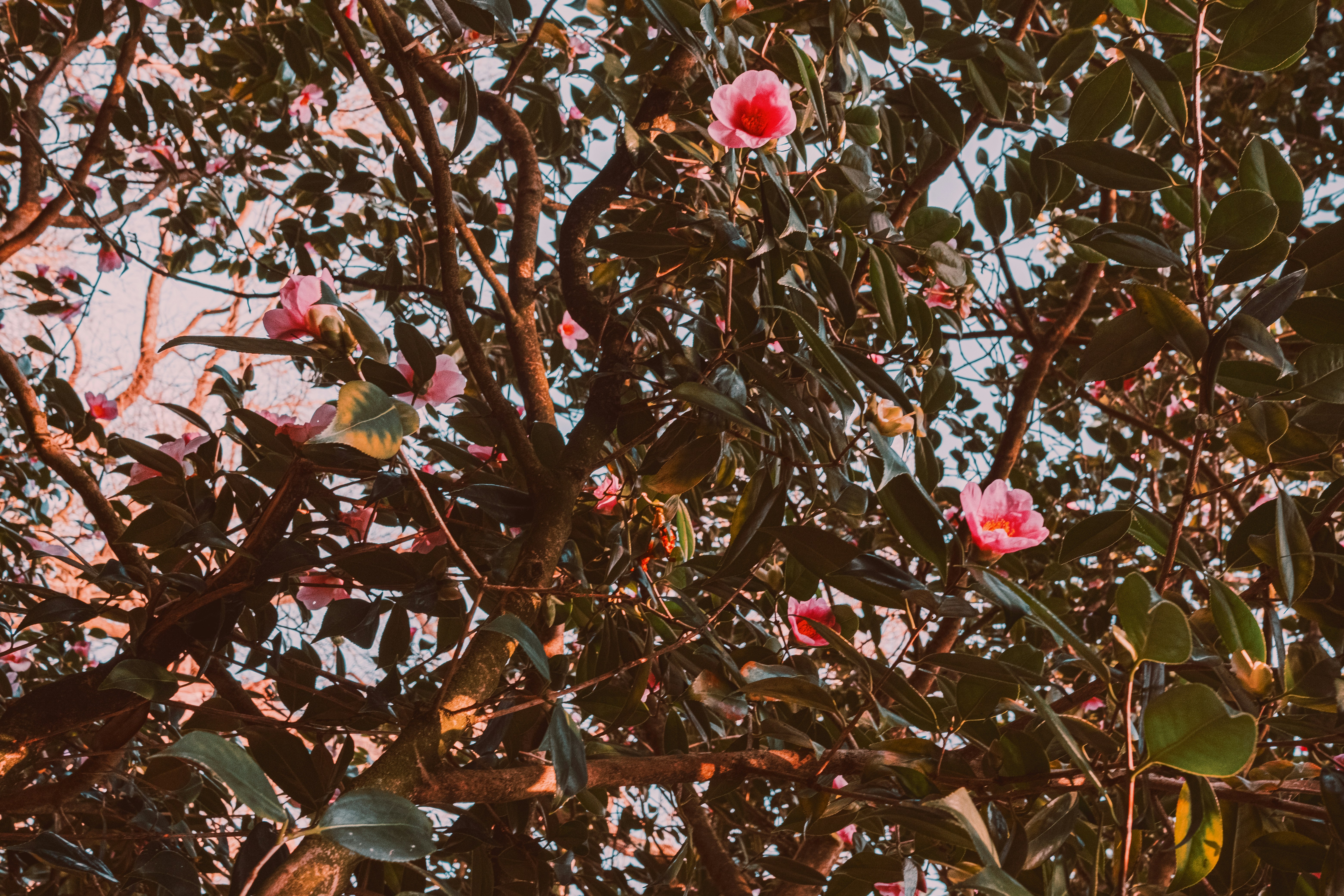 Photo by reganography