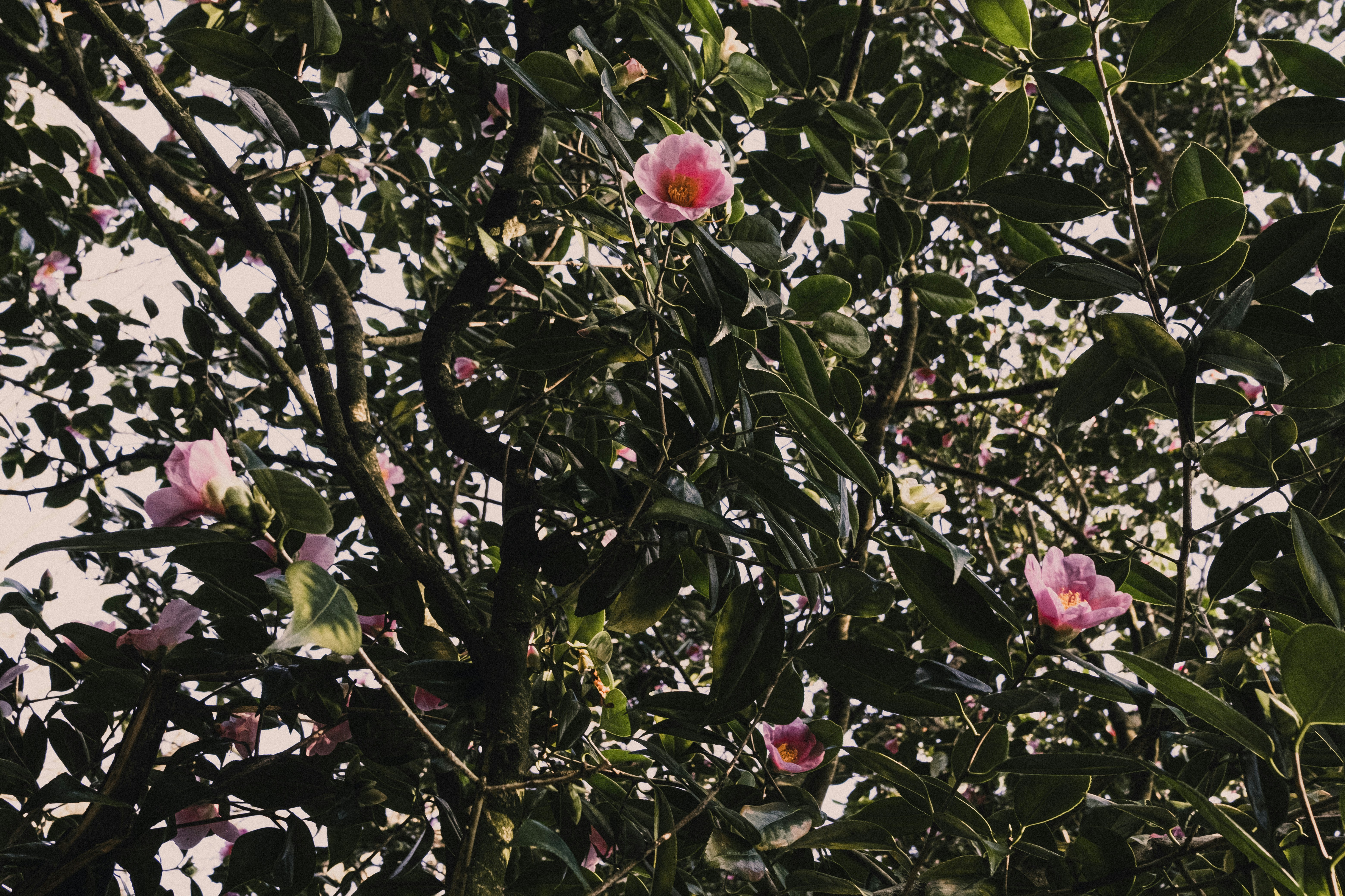 Photo by reganography