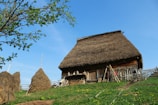 A rustic wooden house with a thatched roof surrounded by wooden fencing and haystacks. The landscape is green with patches of yellow flowers, and a clear blue sky is above. A tree with green leaves is visible on the left side.