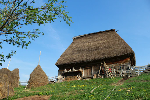 A rustic farmhouse with a thatched roof nestled among green crops under a clear blue sky.