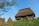A rustic wooden house with a thatched roof surrounded by wooden fencing and haystacks. The landscape is green with patches of yellow flowers, and a clear blue sky is above. A tree with green leaves is visible on the left side.