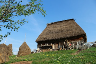 A rustic wooden house with a thatched roof surrounded by wooden fencing and haystacks. The landscape is green with patches of yellow flowers, and a clear blue sky is above. A tree with green leaves is visible on the left side.
