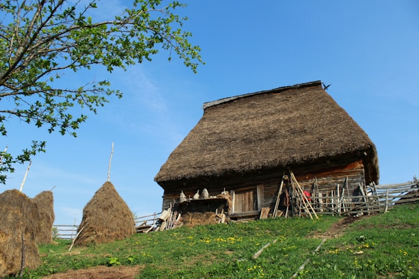 A spacious countryside farmhouse with rustic wooden beams and a wraparound porch surrounded by greenery.