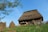 A rustic wooden house with a thatched roof surrounded by wooden fencing and haystacks. The landscape is green with patches of yellow flowers, and a clear blue sky is above. A tree with green leaves is visible on the left side.