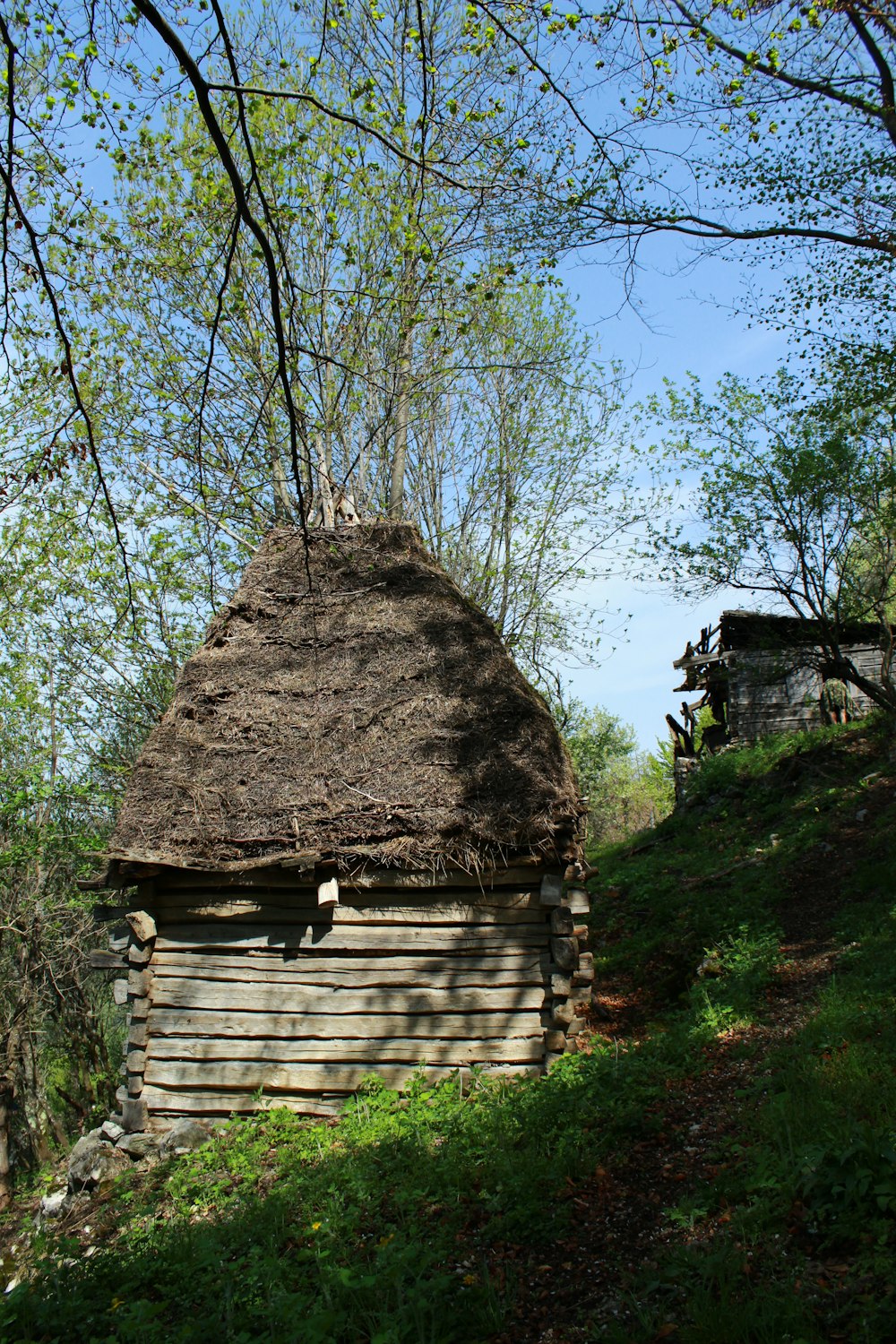 brown wooden house near green trees during daytime