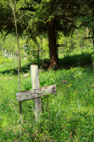 A peaceful outdoor scene with a wooden cross surrounded by green trees and soft sunlight.