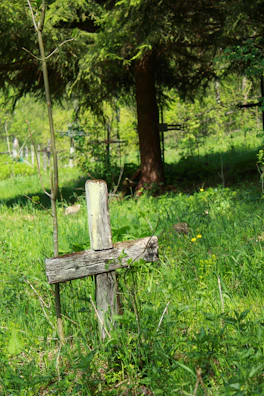 A rustic wooden cross standing in a sunlit rural field at dawn.