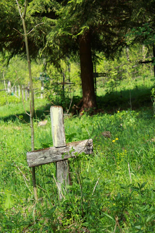 A peaceful outdoor scene with a wooden cross surrounded by green trees and soft sunlight.