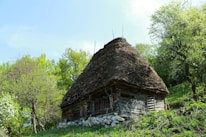 A cozy cabin in a lush green environment, representing rural living.