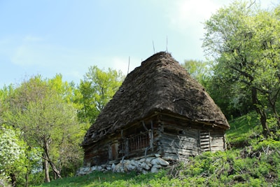 A cozy cabin in a lush green environment, representing rural living.