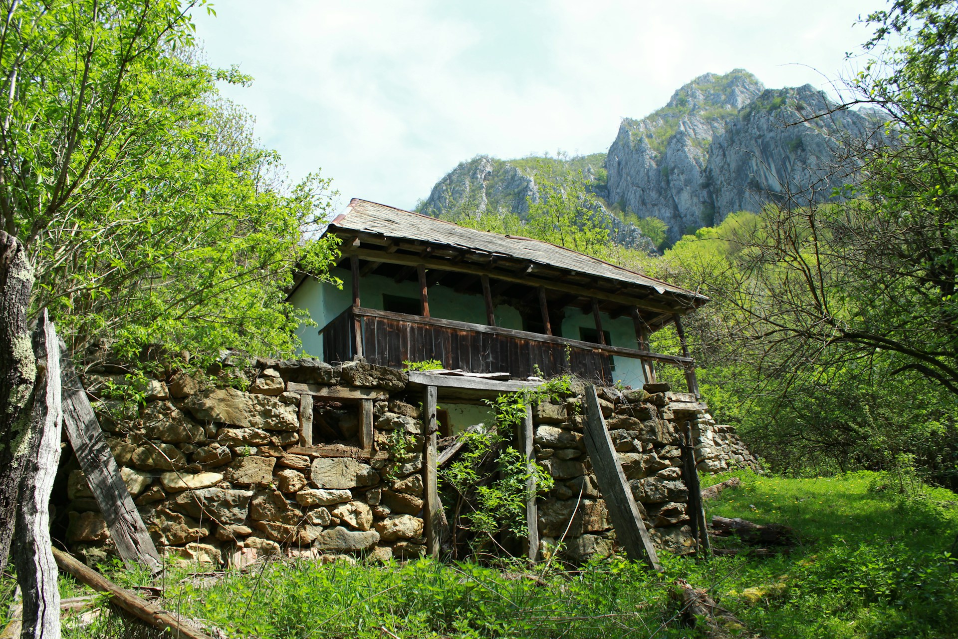 gray computer monitor