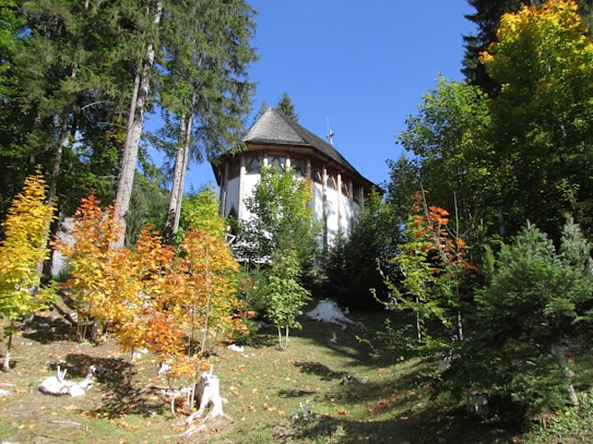 A small church is situated on a grassy hill surrounded by tall pine trees and vibrant autumnal foliage. The church has a wooden roof and a cross on top. The sky is clear and blue, adding to the serene and peaceful setting.