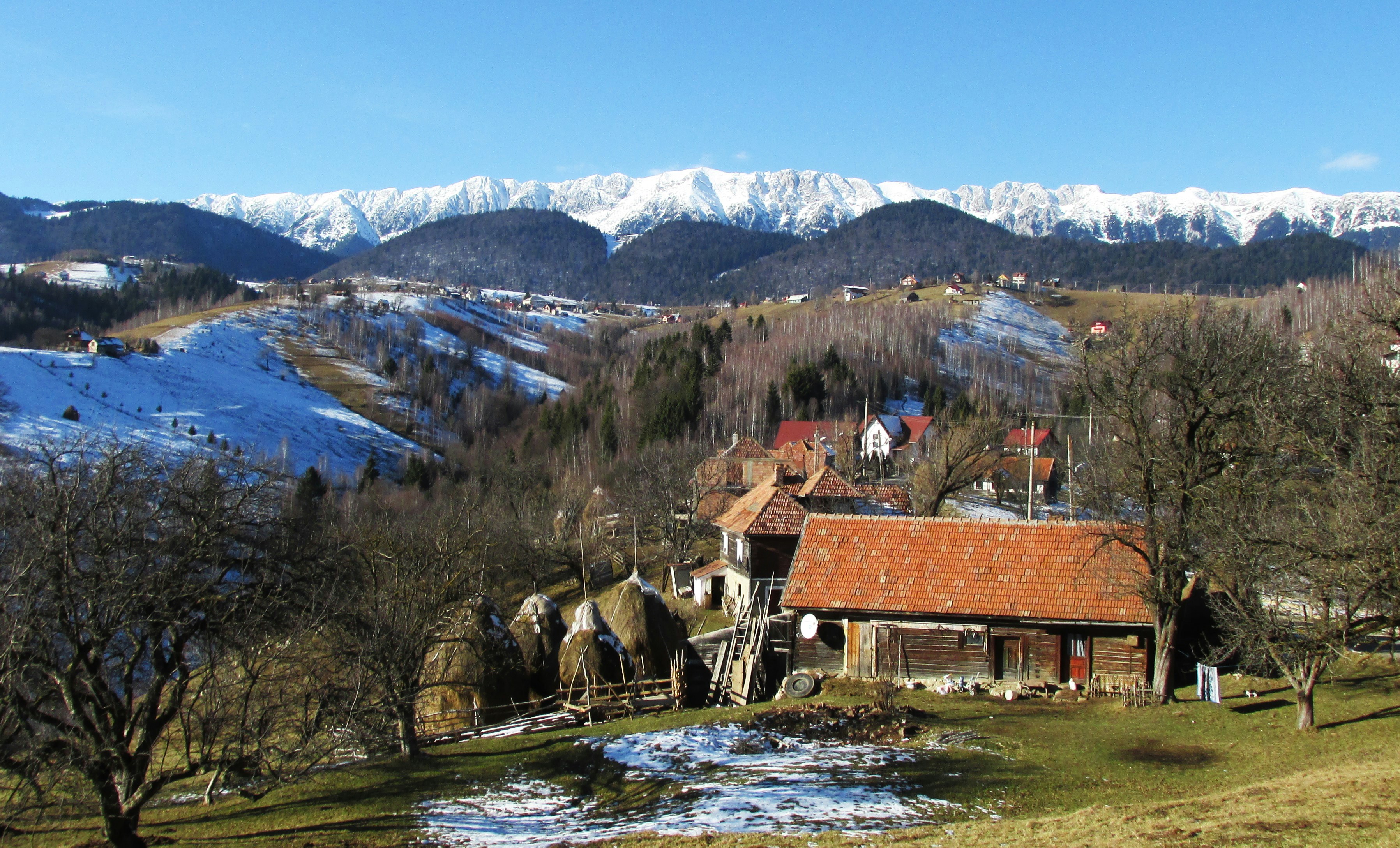 Šank Pub Anika