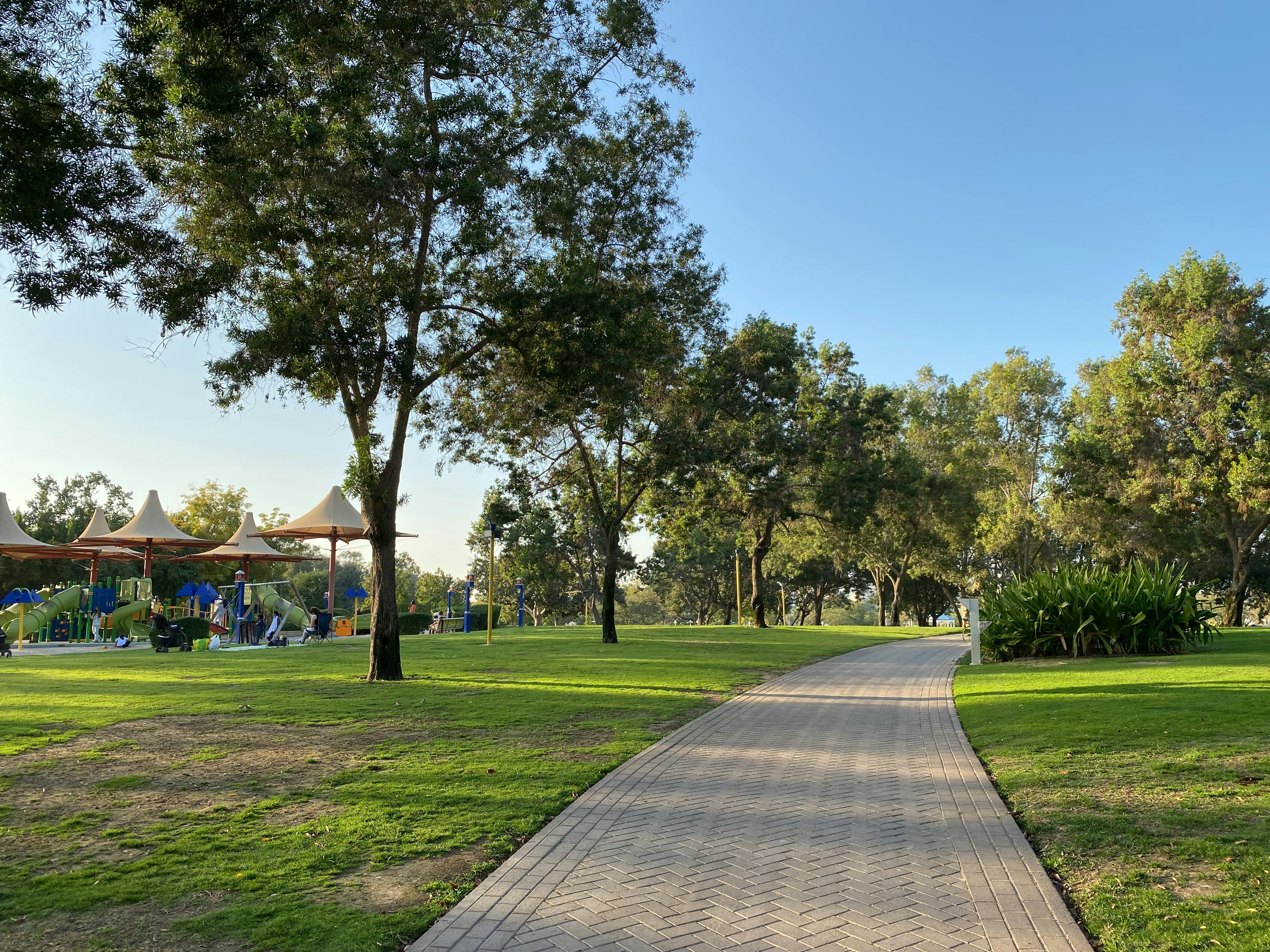 green grass field with trees during daytime
