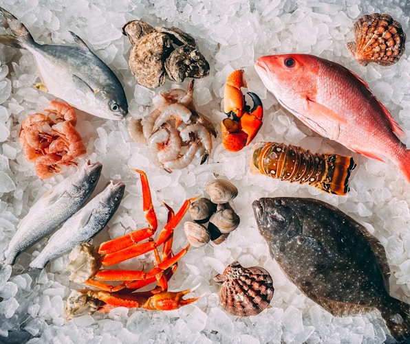 orange and white fish on white and black pebbles