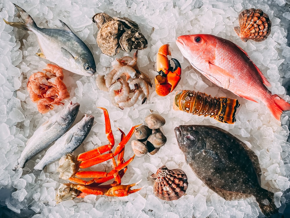 peixes laranja e branco em seixos brancos e pretos