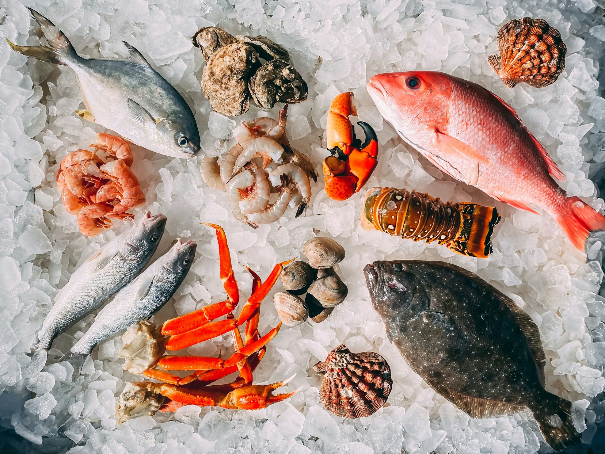 Vannamei White Shrimp - seafood product from VVA Import-Export