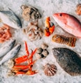 orange and white fish on white and black pebbles