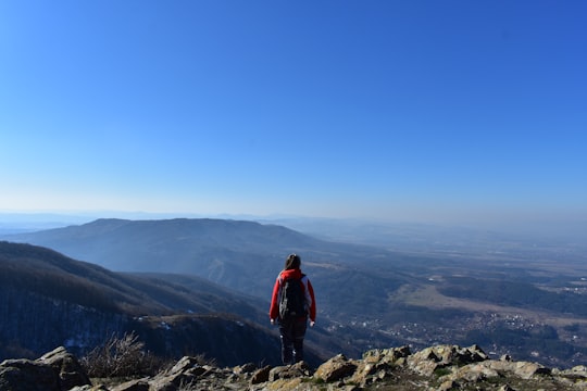 man in red jacket standing on rock formation during daytime in Vitosha Bulgaria