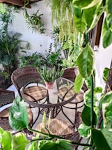 green plant on brown wooden table