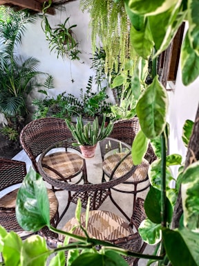 green plant on brown wooden table