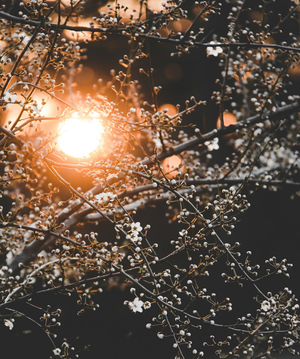 white string lights during night time