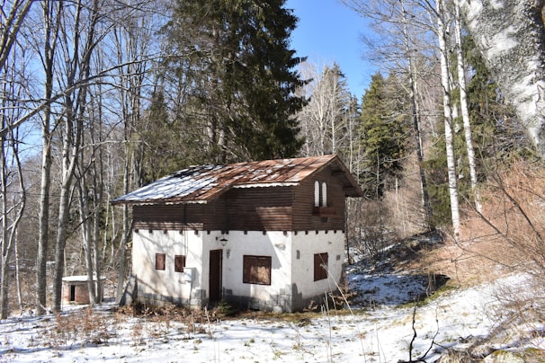 A small, rustic cabin is nestled in a forested area, surrounded by bare trees and a light layer of snow on the ground. The cabin features a wooden upper section and a white lower section, with a simple, slanted roof. The sunlight creates distinct shadows, highlighting the natural setting and the serene, isolated environment.