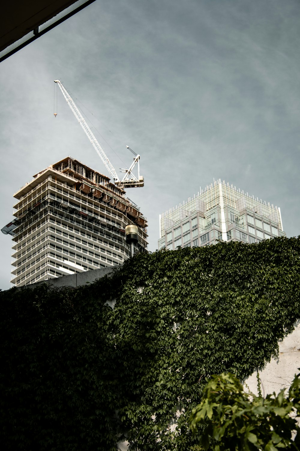 white concrete building near green trees during daytime