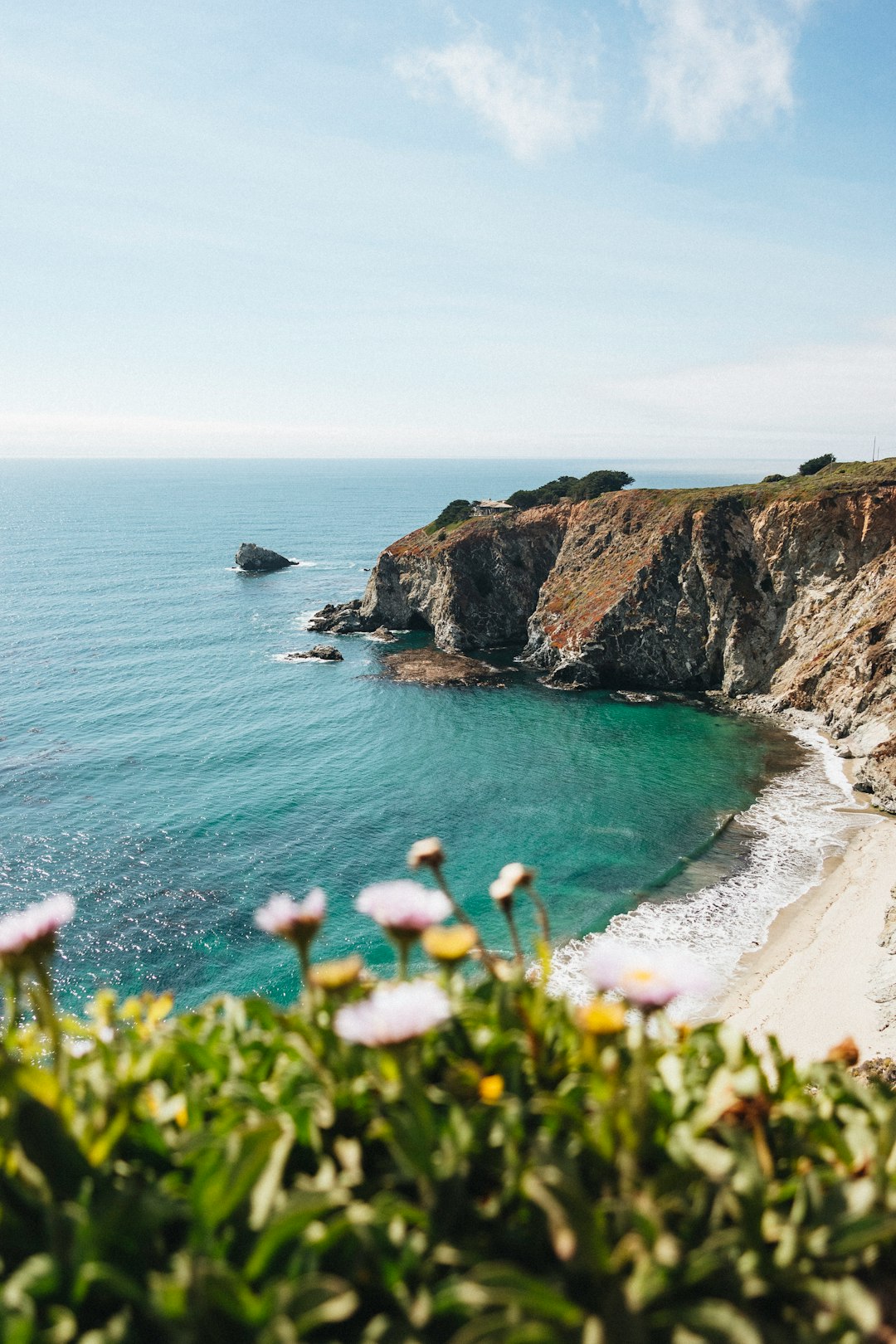 people on a cliff by the sea during daytime