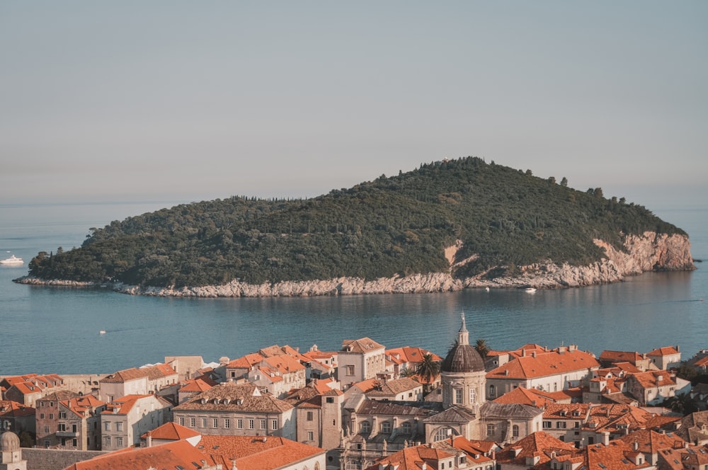 brown and white concrete houses near body of water during daytime