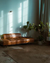 immobilier Mandeville