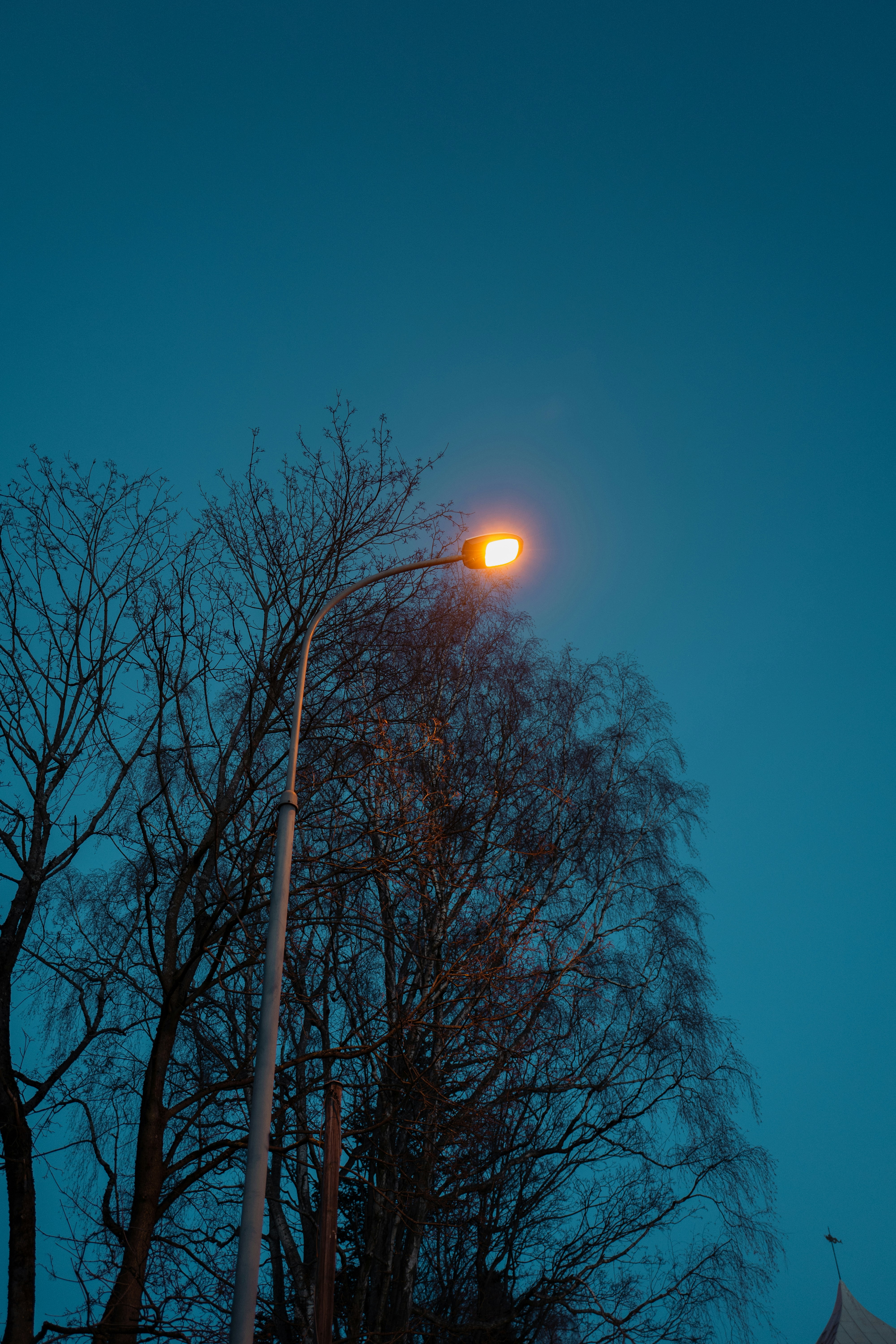 Photo by eskarstein