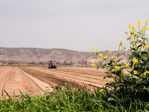 A scenic view of an agricultural field with a red tractor working the land. The landscape features expansive rows of tilled soil stretching towards a backdrop of rolling hills. In the foreground, vibrant yellow flowers and lush green foliage add a splash of color.
